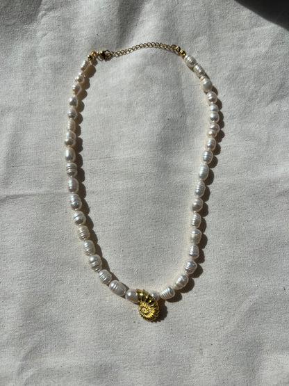 Deniz Kabuğu Detaylı İnci Kolye / 925 Ayar Gümüş