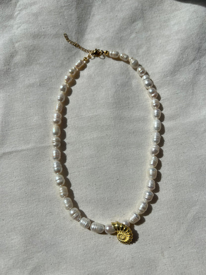 Deniz Kabuğu Detaylı İnci Kolye / 925 Ayar Gümüş